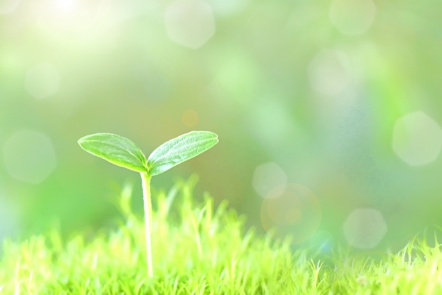 日本ムーツ株式会社